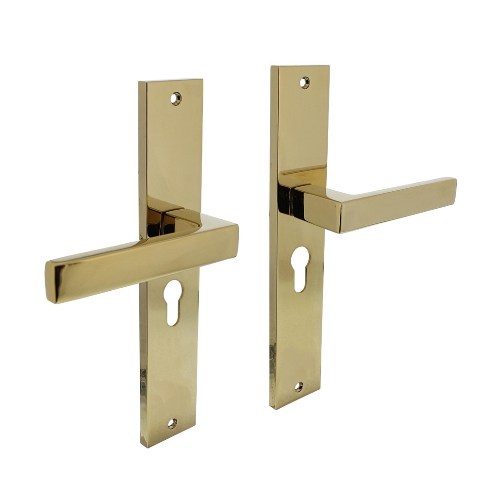 [0013.174429] INTERSTEEL HERA KRUKKENPAAR OP SCHILD MET PC 55MM (Brass)