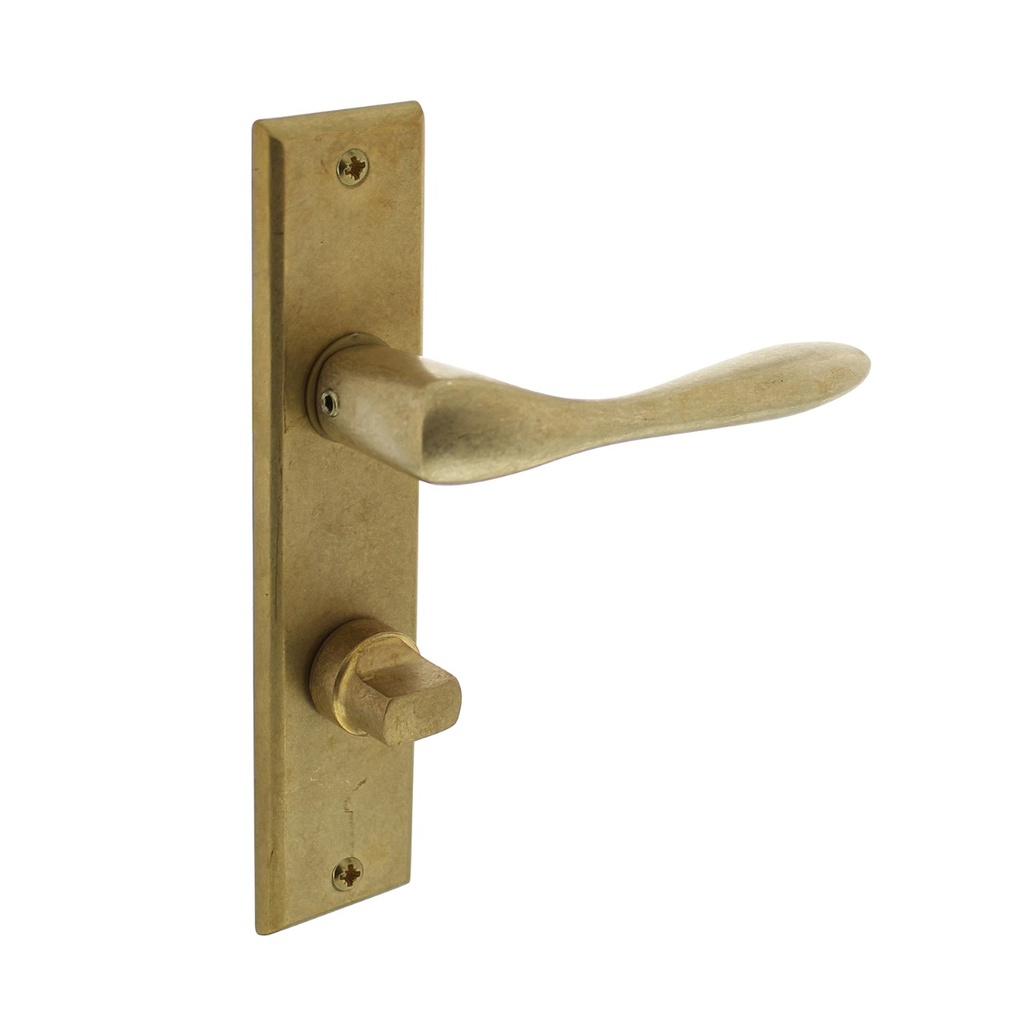 [0011.020165] INTERSTEEL BANAAN KRUKKENPAAR OP SCHILD WC (Brass tumbled)
