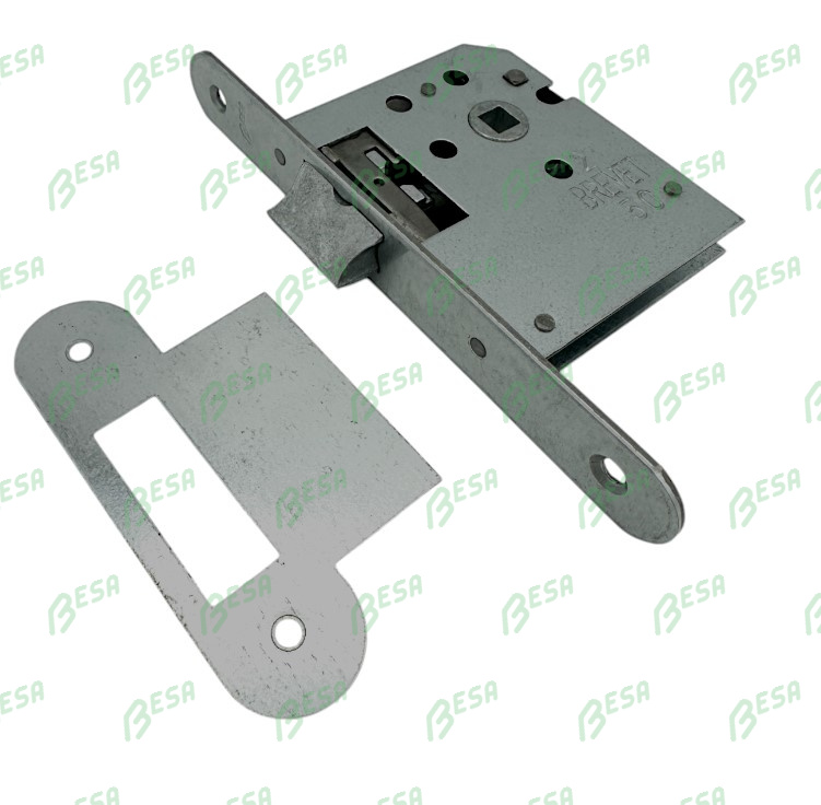 [2-50-AFG] DYLA 2 LOOP- OF DAGSLOT (50, 165, Rounded, Lacquered)