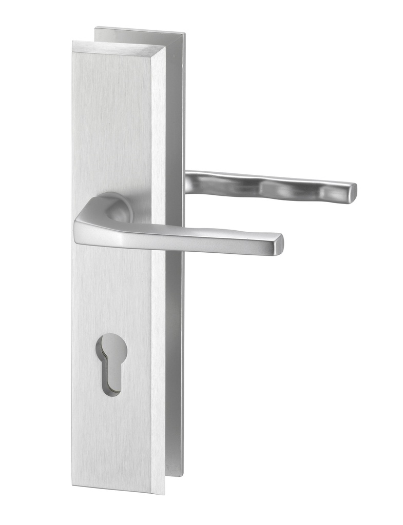 [7003/7203/01T65] BESA EDI BASISSETS VEILIGHEIDSBESLAG BREED SKG** (F1, 72, Handle-handle (HA-HA), Profile cylinder hole (WCP))