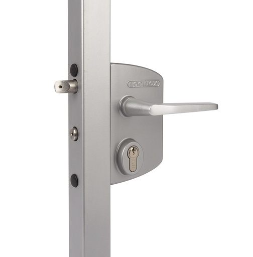 LOCINOX LAKQU2 SURFACE MOUNTED GATE LOCK