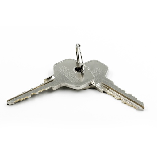 [W-SLV-01] BURG SERIE V SLEUTEL | CODEREEKS V0001-V2000